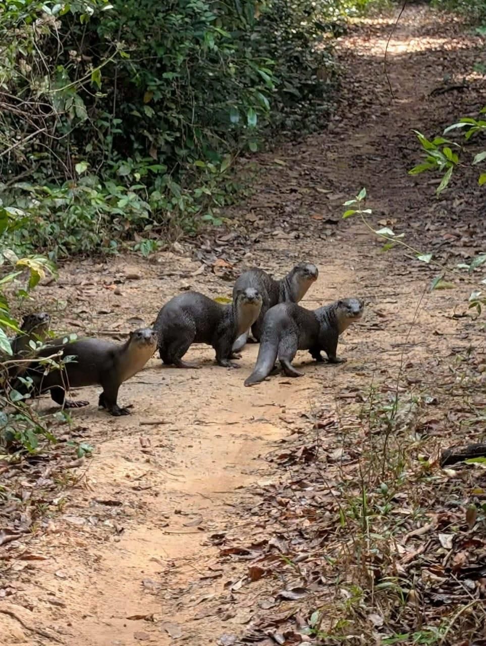 Angkor Nature Observatory & Angkor Area Exploration